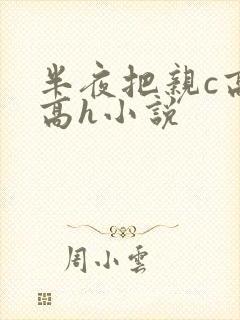 半夜把亲c高潮高h小说