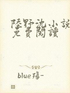 陆野沈小说全文免费阅读