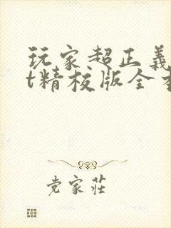 玩家超正义txt精校版全本