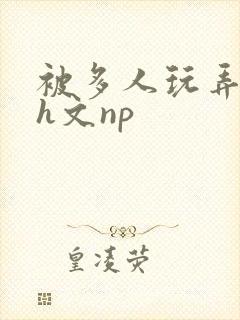 被多人玩弄调教h文np