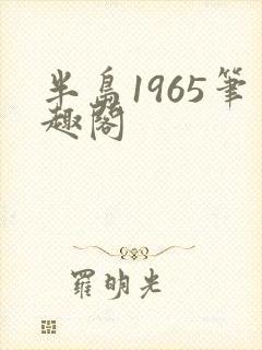 半岛1965笔趣阁