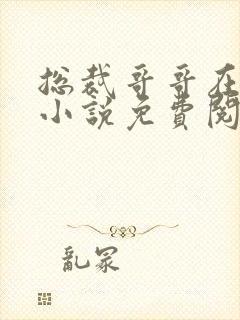 总裁哥哥在上的小说免费阅读无弹窗封面