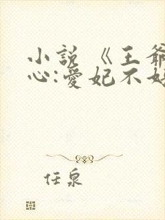小说 《王爷当心:爱妃不好惹》