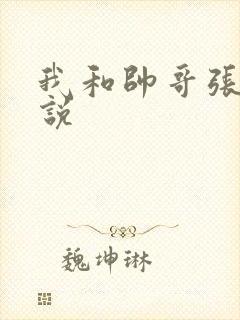 我和帅哥张辰小说