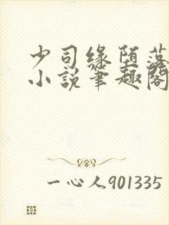 少司缘堕落浮殇小说笔趣阁封面