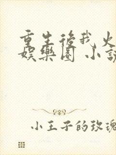 重生后我火遍了娱乐圈 小说