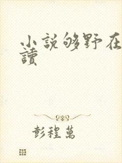 小说够野在线阅读