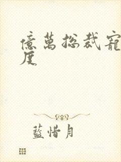 亿万总裁宠妻无度
