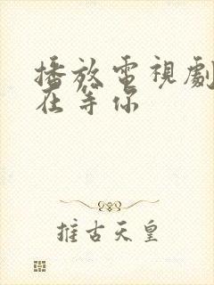 播放电视剧妈妈在等你