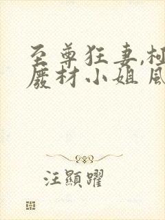 至尊狂妻,极品废材小姐 风间雪舞