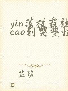 yin荡校霸被cao到哭双性合集