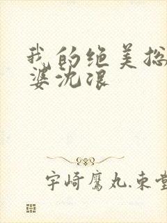 我的绝美总裁老婆沈浪
