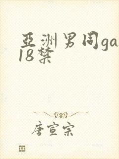 亚洲男同gay18禁