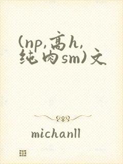 (np,高h,纯肉sm)文封面