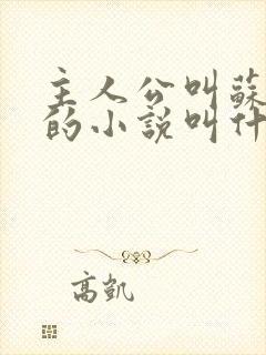 主人公叫苏沐阳的小说叫什么的