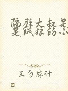 隔壁大叔是机长是饿狼的小说