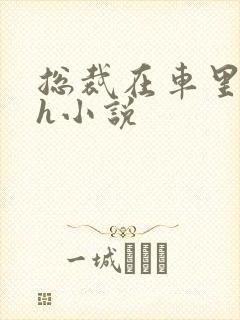 总裁在车里秘书h小说