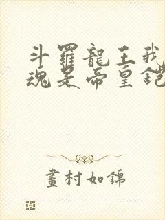 斗罗龙王我的武魂是帝皇铠甲免费阅读