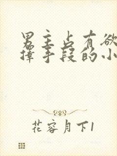 男主占有欲强不择手段的小说