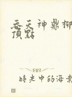 吞天神鼎柳无邪顶点