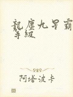 龙尘九星霸体诀等级封面