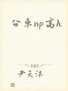 公车np高h封面