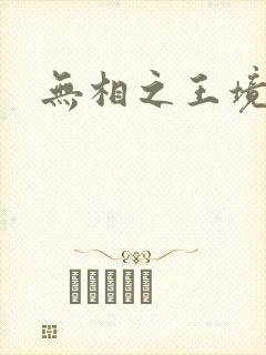 无相之王境界封面