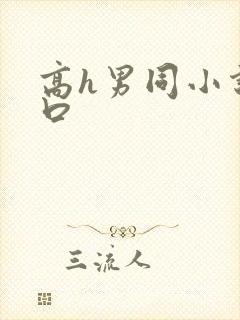 高h男同小说重口