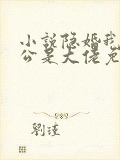 小说隐婚我的老公是大佬免费阅读