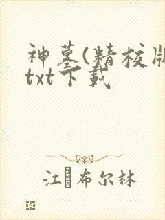神墓(精校版)txt下载封面