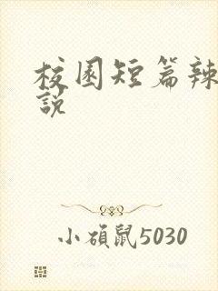 校园短篇辣文小说