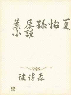 叶辰孙怡夏若雪小说