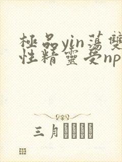 极品yin荡双性精灵受np