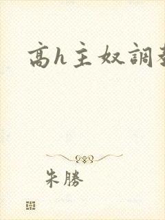 高h主奴调教