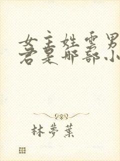 女主姓云男主姓君是哪部小说
