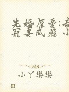 先婚厚爱:帝少宠妻成瘾 小说下载