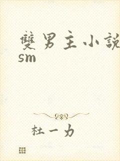 双男主小说调教sm