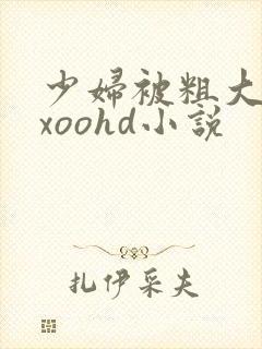 少妇被粗大爽ⅹxoohd小说
