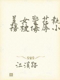 美女警花执行任务被侮辱小说