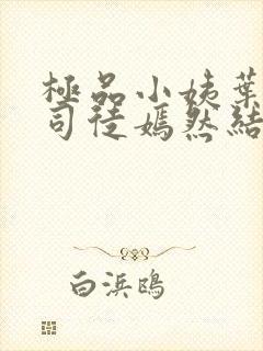 极品小姨叶凡和司徒嫣然结局
