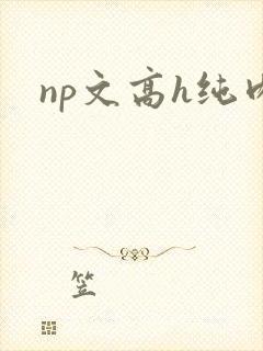 np文高h纯肉封面