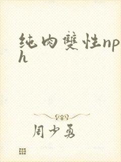 纯肉双性np h