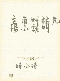 主角叫林凡的官场小说叫