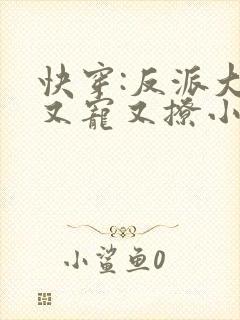快穿:反派大佬又宠又撩小说