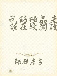 我的极品老婆小说在线阅读