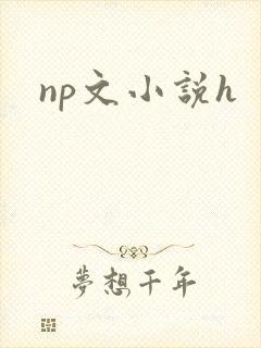 np文小说h