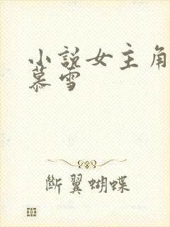 小说女主角叫沈慕雪