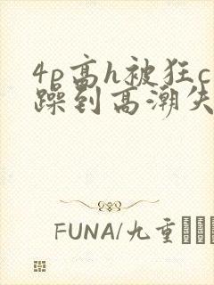 4p高h被狂c躁到高潮失禁网址
