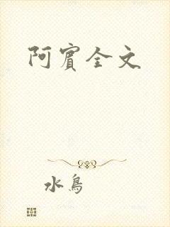 阿宾全文