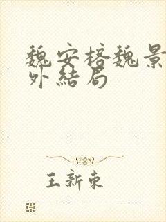 魏安榕魏景明番外结局